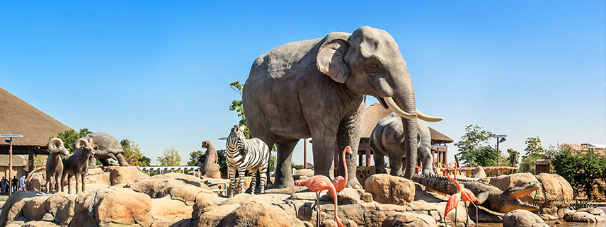 Dubai Adventure Tour Packages for Turkish Travellers — 5 Days / 4 Nights — Park Regis
