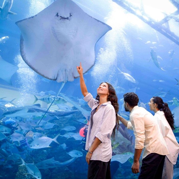 Dubai Nightlife Packages for Turkish Families